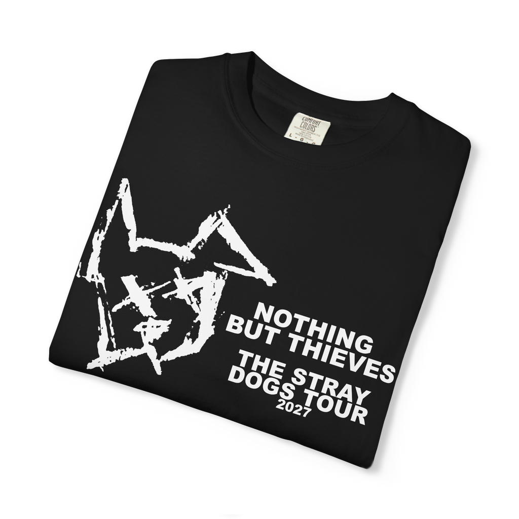 Nothing but Thieves The Stray Dogs Tour 2027 custom design