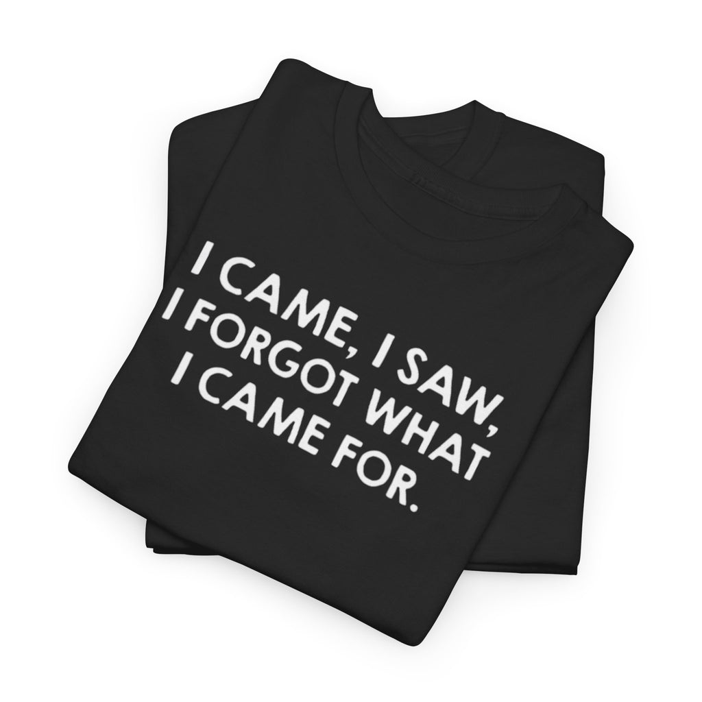 I came I saw I forgot what i came for custom design