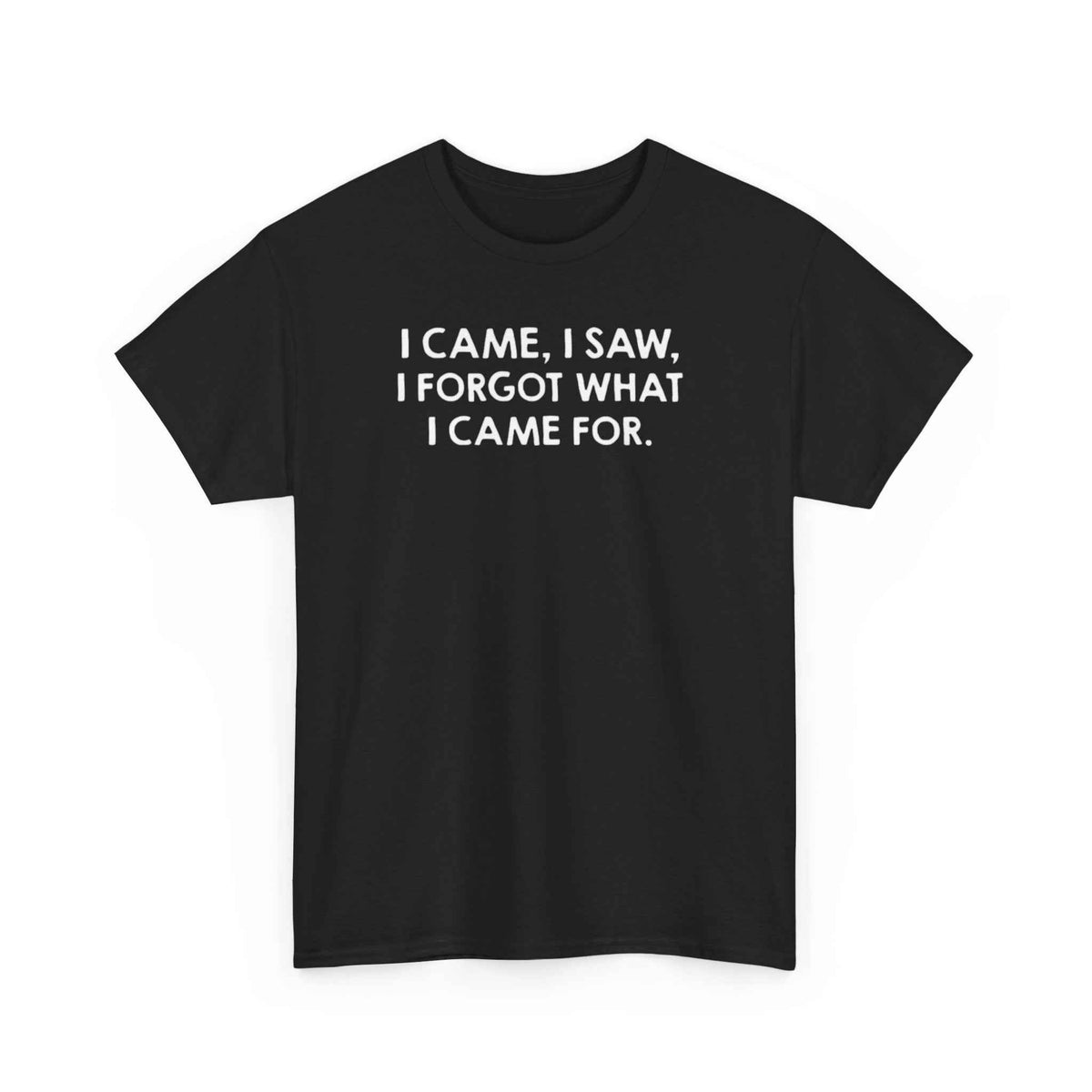 I came I saw I forgot what i came for custom design