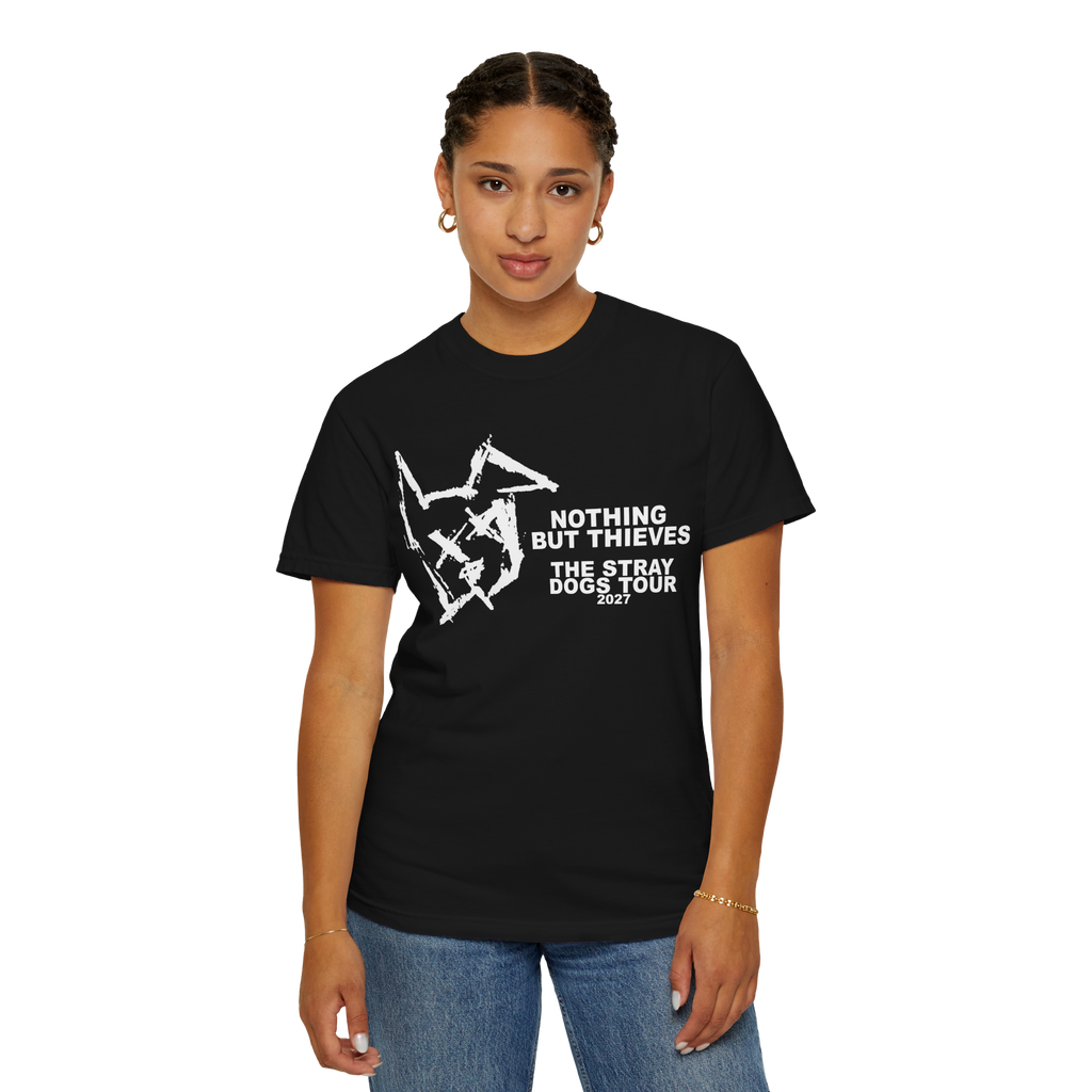 Nothing but Thieves The Stray Dogs Tour 2027 custom design