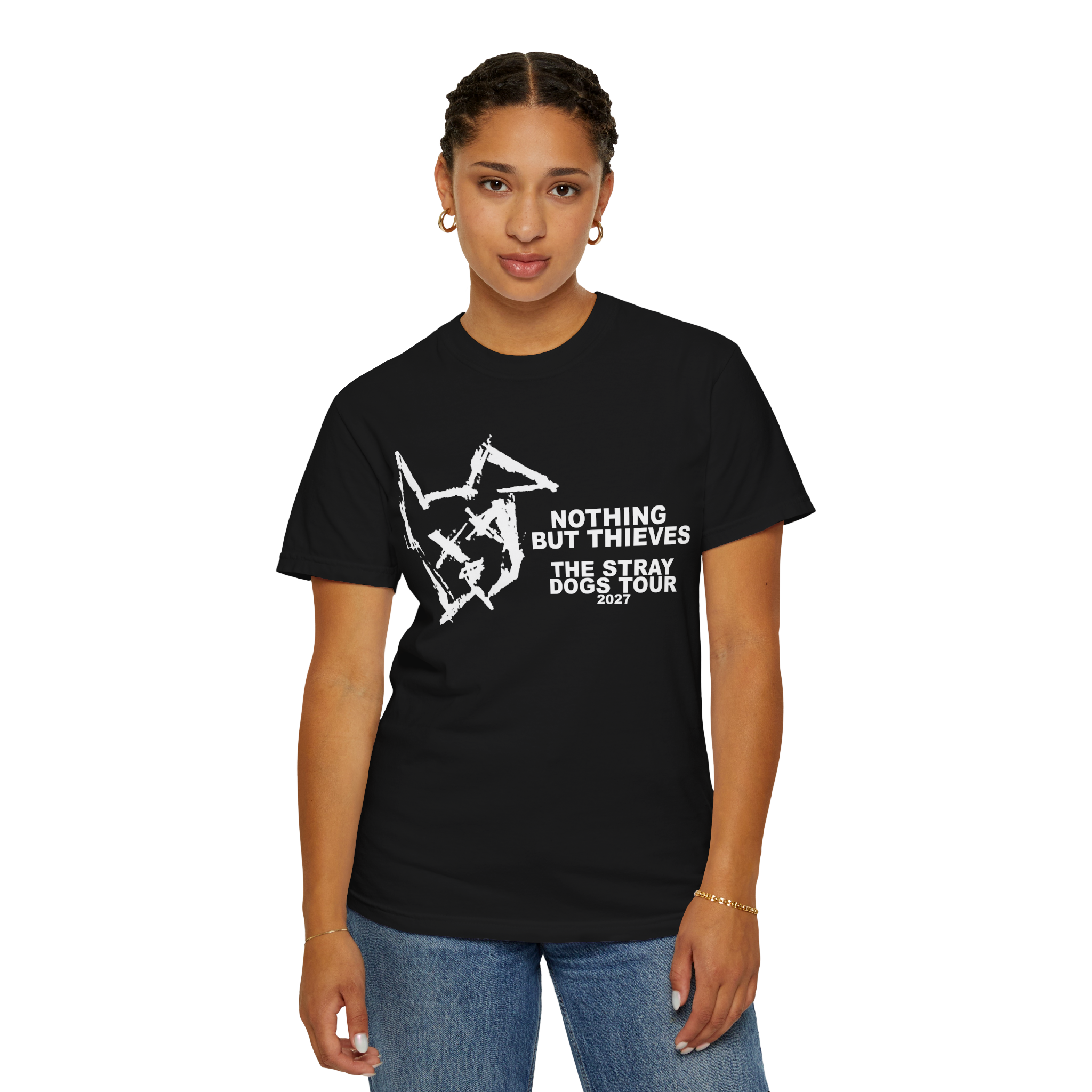 Nothing but Thieves The Stray Dogs Tour 2027 custom design