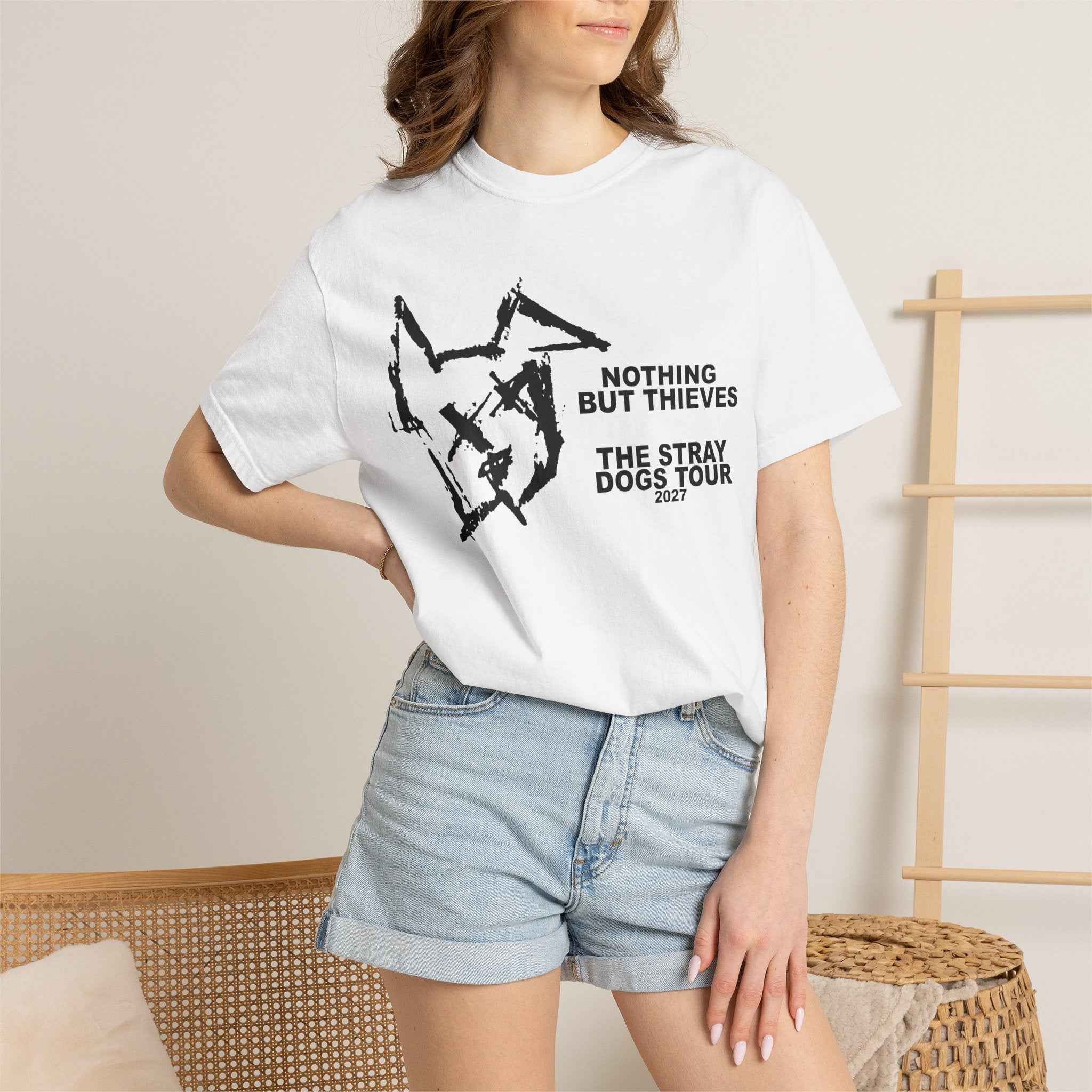 Nothing but Thieves The Stray Dogs Tour 2027 custom design