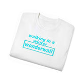 Walking in a winter Wonderwall Oasis inspired Christmas jumper custom design