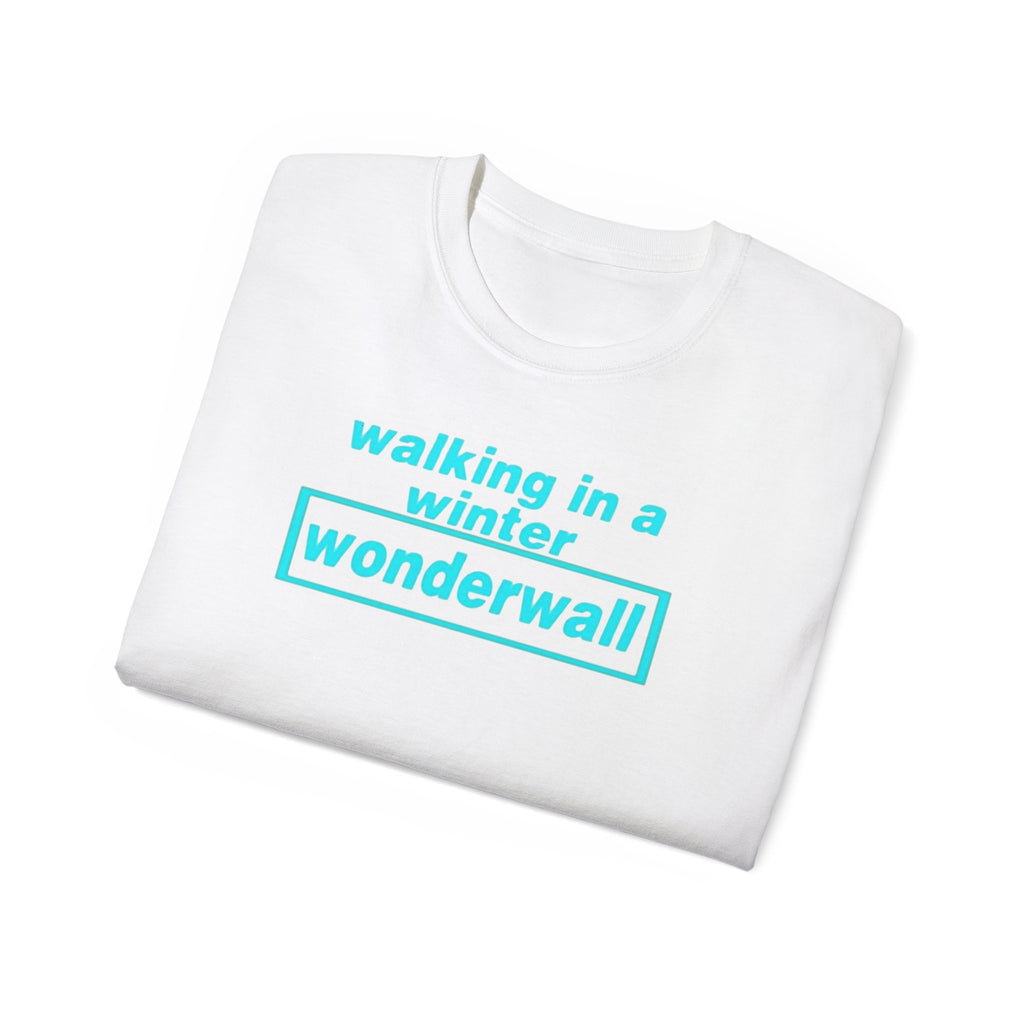 Walking in a winter Wonderwall Oasis inspired custom design