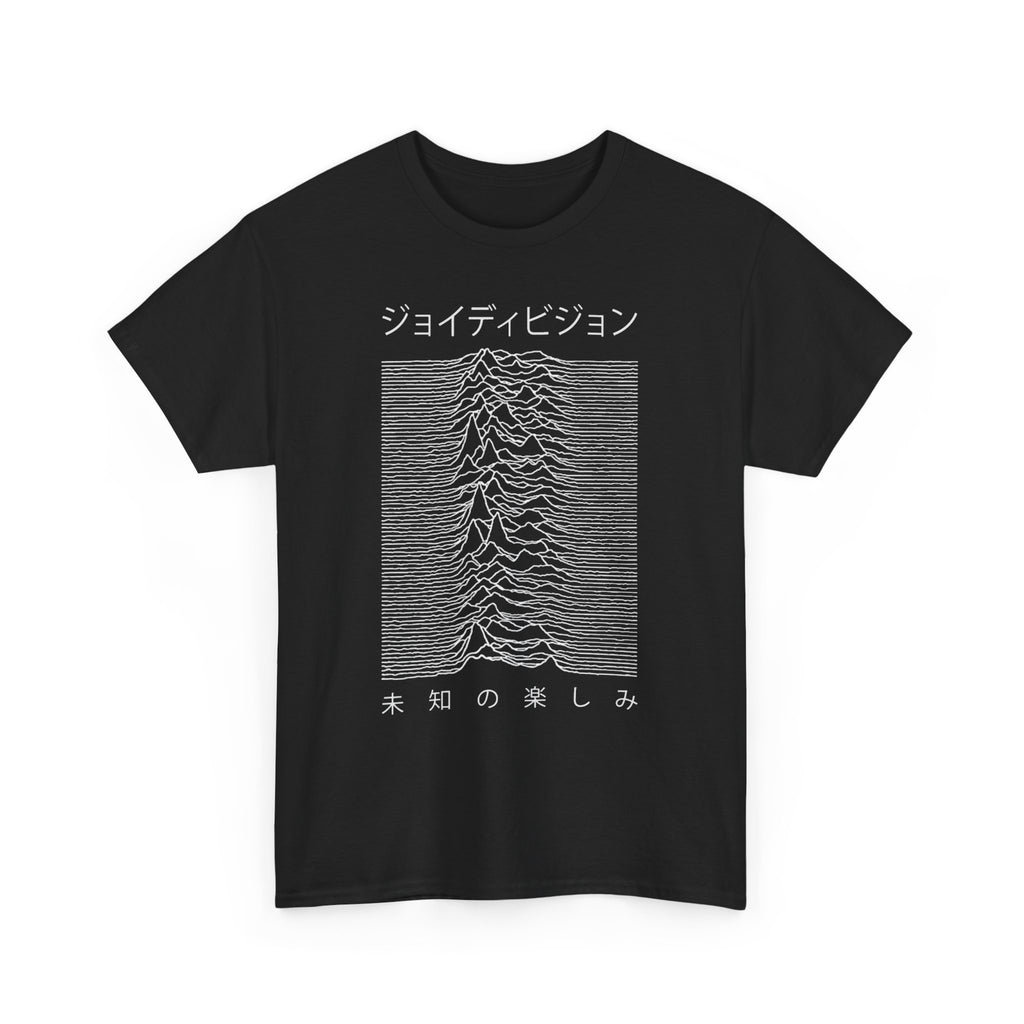 Joy Division Unknown Pleasures Japanese Version